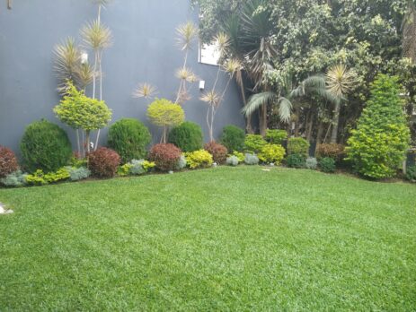 WhatsApp Image 2024-04-29 at 2.11.32 PM (3)